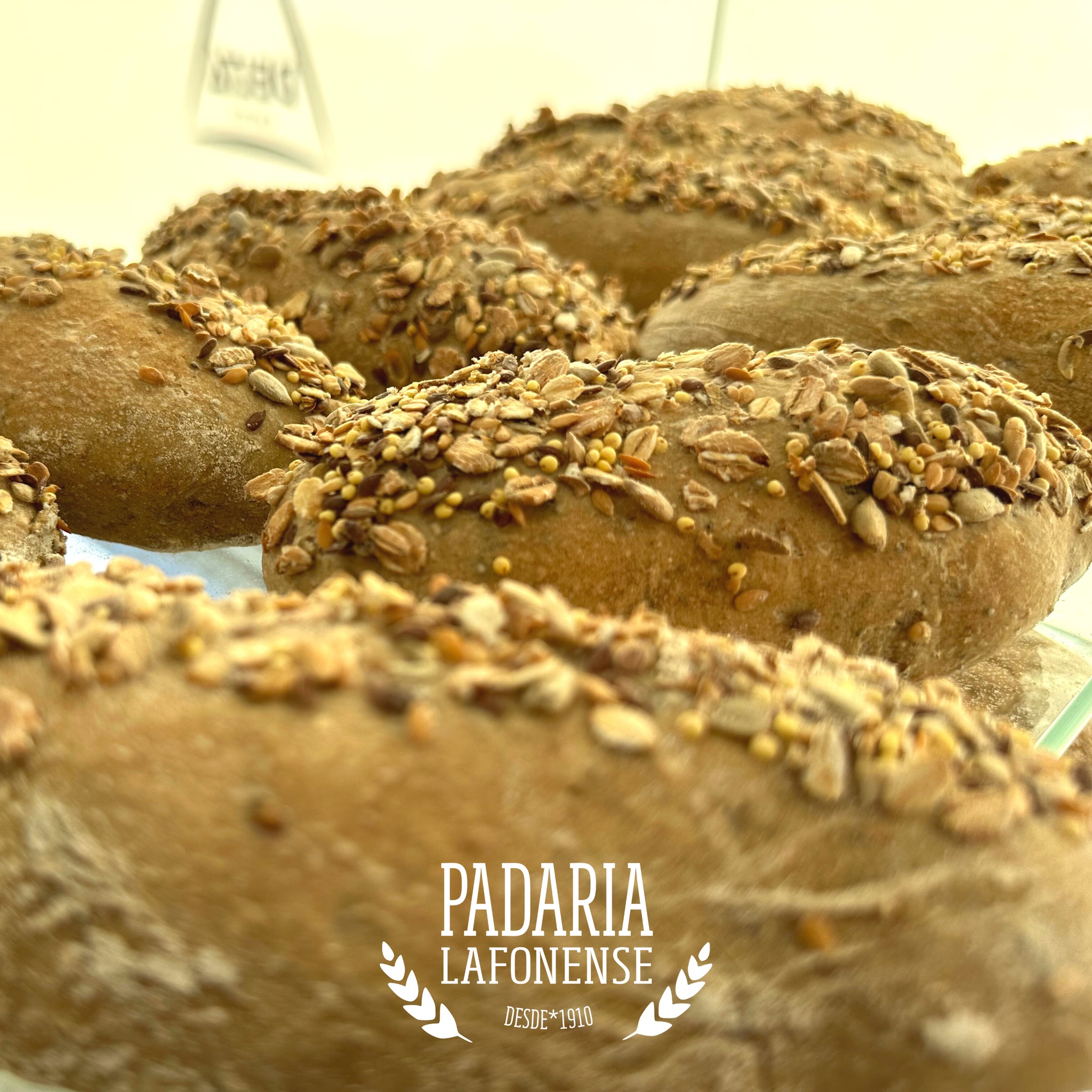 O Nosso Pão de Sementes